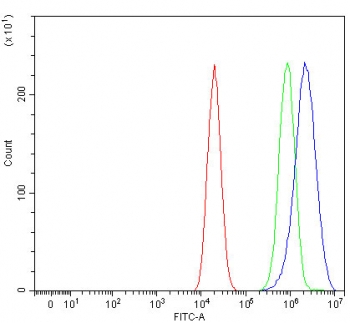 NR5A2 Antibody Caco-2 FACS. Flow cytometry analysis of fixed and permeabilized human Caco-2 cells using NR5A2 antibody demonstrates a pronounced rightward fluorescence shift relative to isotype control, supporting intracellular expression of NR5A2 / Liver receptor homolog 1 in intestinal epithelial-derived cells. The observed staining profile is consistent with detection of this metabolic nuclear receptor transcription factor within permeabilized cellular compartments associated with gene regulatory signaling pathways. Red=cells alone, Green=isotype control, Blue=NR5A2 antibody.