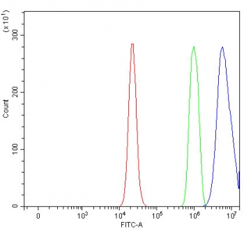 Flow cytometry testing of fixed and permeabilized human RT4 cells with NUMA1 antibody at 1ug/million cells (blocked with goat sera); Red=cells alone, Green=isotype control, Blue= NUMA1 antibody.
