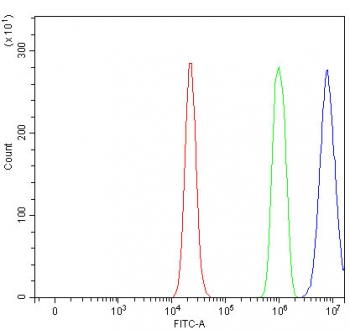 Flow cytometry testing of fixed and permeabilized human RT4 cells with Nucleolar protein 2 antibody at 1ug/million cells (blocked with goat sera); Red=cells alone, Green=isotype control, Blue= Nucleolar protein 2 antibody.