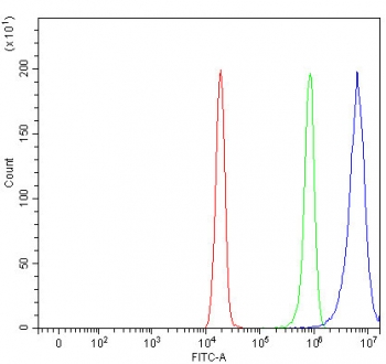 Flow cytometry testing of fixed and permeabilized human HeLa cells with MMS19 antibody at 1ug/million cells (blocked with goat sera); Red=cells alone, Green=isotype control, Blue= MMS19 antibody.