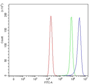 Flow cytometry testing of fixed and permeabilized human HeLa cells with Nucleoporin 155 antibody at 1ug/million cells (blocked with goat sera); Red=cells alone, Green=isotype control, Blue= Nucleoporin 155 antibody.