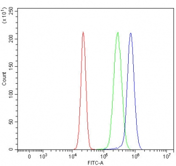 Flow cytometry testing of fixed and permeabilized human HepG2 cells with MGAT2 antibody at 1ug/million cells (blocked with goat sera); Red=cells alone, Green=isotype control, Blue= MGAT2 antibody.