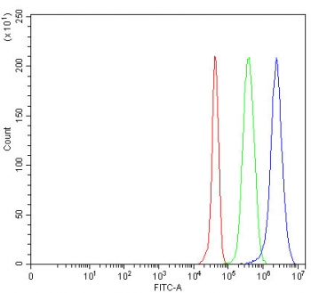 Flow cytometry testing of fixed and permeabilized human JK cells with MOCS2 antibody at 1ug/million cells (blocked with goat sera); Red=cells alone, Green=isotype control, Blue= MOCS2 antibody.