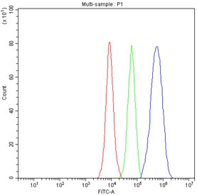 Flow cytometry testing of fixed and permeabilized human 293T cells with NOSIP antibody at 1ug/million cells (blocked with goat sera); Red=cells alone, Green=isotype control, Blue= NOSIP antibody.