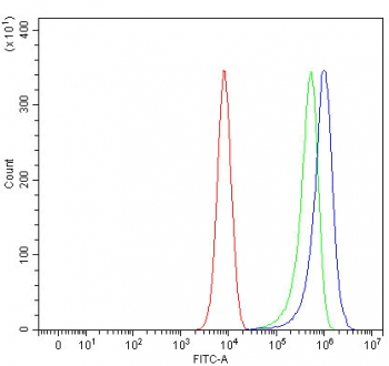 Flow cytometry testing of fixed and permeabilized human K562 cells with MOCS1 antibody at 1ug/million cells (blocked with goat sera); Red=cells alone, Green=isotype control, Blue= MOCS1 antibody.