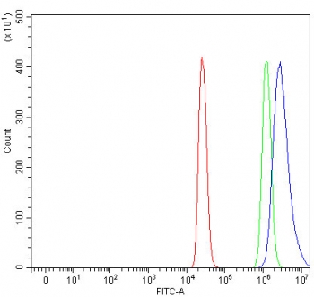 Flow cytometry testing of fixed and permeabilized human 293T cells with NCOA5 antibody at 1ug/million cells (blocked with goat sera); Red=cells alone, Green=isotype control, Blue= NCOA5 antibody.