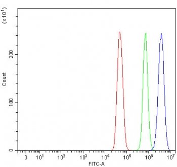 Flow cytometry testing of fixed and permeabilized human U-251 cells with NCBP2 antibody at 1ug/million cells (blocked with goat sera); Red=cells alone, Green=isotype control, Blue= NCBP2 antibody.