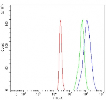 Flow cytometry testing of fixed and permeabilized human 293T cells with NPEPPS antibody at 1ug/million cells (blocked with goat sera); Red=cells alone, Green=isotype control, Blue= NPEPPS antibody.