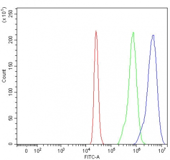 Flow cytometry testing of fixed and permeabilized human 293T cells with MECR antibody at 1ug/million cells (blocked with goat sera); Red=cells alone, Green=isotype control, Blue= MECR antibody.
