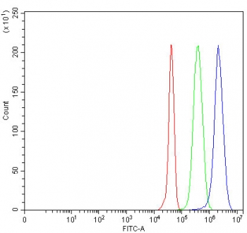 Flow cytometry testing of fixed and permeabilized human JK cells with MYDGF antibody at 1ug/million cells (blocked with goat sera); Red=cells alone, Green=isotype control, Blue= MYDGF antibody.