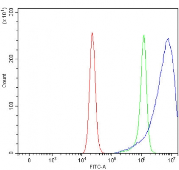 Prostaglandin Reductase 2 Antibody RT4 Cell FACS. Flow cytometry analysis of fixed and permeabilized human RT4 cells using Prostaglandin Reductase 2 Antibody demonstrates a clear rightward shift of the positive cell population (blue) relative to the isotype control (green), consistent with intracellular expression of PTGR2. PTGR2 is a cytoplasmic oxidoreductase involved in prostaglandin metabolism and eicosanoid signaling regulation. Cells were blocked with goat serum prior to staining. Red=cells alone; Green=isotype control; Blue=Prostaglandin Reductase 2 antibody.