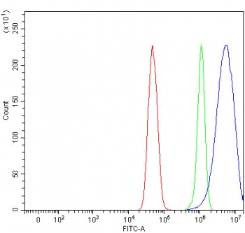 Flow cytometry testing of fixed and permeabilized human U-251 cells with NT5C antibody at 1ug/million cells (blocked with goat sera); Red=cells alone, Green=isotype control, Blue= NT5C antibody.