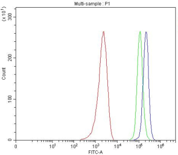 Flow cytometry testing of fixed and permeabilized human MCF7 cells with PUS7 antibody at 1ug/million cells (blocked with goat sera); Red=cells alone, Green=isotype control, Blue= PUS7 antibody.