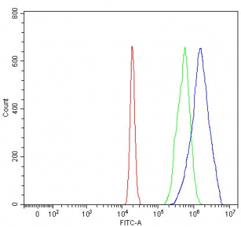 Flow cytometry testing of fixed and permeabilized human 293T cells with MFAP3 antibody at 1ug/million cells (blocked with goat sera); Red=cells alone, Green=isotype control, Blue= MFAP3 antibody.