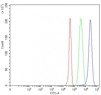 Flow cytometry testing of fixed and permeabilized human JK cells with MYH16 antibody at 1ug/million cells (blocked with goat sera); Red=cells alone, Green=isotype control, Blue= MYH16 antibody.