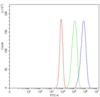 Flow cytometry testing of fixed and permeabilized human HepG2 cells with NPTXR antibody at 1ug/million cells (blocked with goat sera); Red=cells alone, Green=isotype control, Blue= NPTXR antibody.