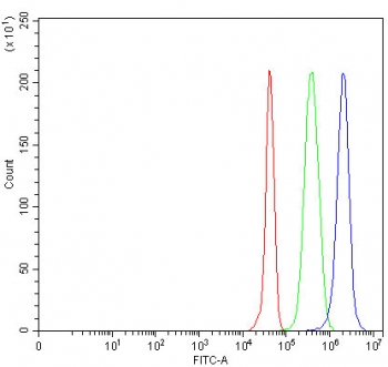 Flow cytometry testing of fixed and permeabilized human JK cells with MYL5 antibody at 1ug/million cells (blocked with goat sera); Red=cells alone, Green=isotype control, Blue= MYL5 antibody.