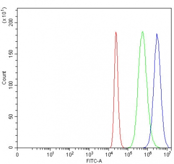 Flow cytometry testing of fixed and permeabilized human ThP-1 cells with FAM55C antibody at 1ug/million cells (blocked with goat sera); Red=cells alone, Green=isotype control, Blue= FAM55C antibody.