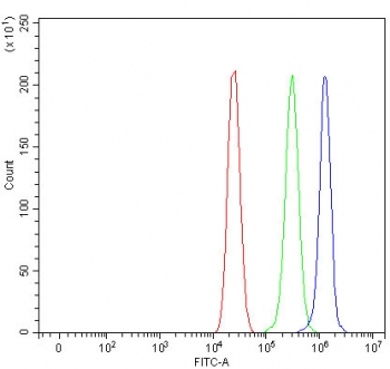 Flow cytometry testing of fixed and permeabilized human MCF7 cells with PP18 antibody at 1ug/million cells (blocked with goat sera); Red=cells alone, Green=isotype control, Blue= PP18 antibody.