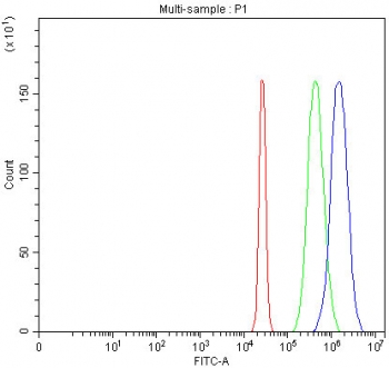 Flow cytometry testing of fixed and permeabilized human HepG2 cells with ATG7 antibody at 1ug/million cells (blocked with goat sera); Red=cells alone, Green=isotype control, Blue= ATG7 antibody.