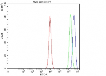 Flow cytometry testing of fixed and permeabilized human PC-3 cells with B-cell lymphoma 3 antibody at 1ug/million cells (blocked with goat sera); Red=cells alone, Green=isotype control, Blue= B-cell lymphoma 3 antibody.