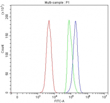 Flow cytometry testing of fixed and permeabilized human SH-SY5Y cells with IDUA antibody at 1ug/million cells (blocked with goat sera); Red=cells alone, Green=isotype control, Blue= IDUA antibody.