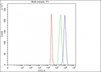 Flow cytometry testing of fixed and permeabilized human 293T cells with IDH3G antibody at 1ug/million cells (blocked with goat sera); Red=cells alone, Green=isotype control, Blue= IDH3G antibody.