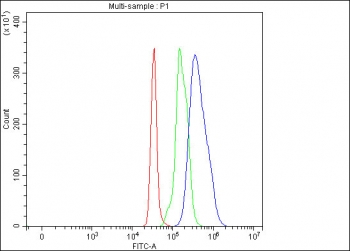 Flow cytometry testing of fixed and permeabilized human SH-SY5Y cells with Lumican antibody at 1ug/million cells (blocked with goat sera); Red=cells alone, Green=isotype control, Blue= Lumican antibody.