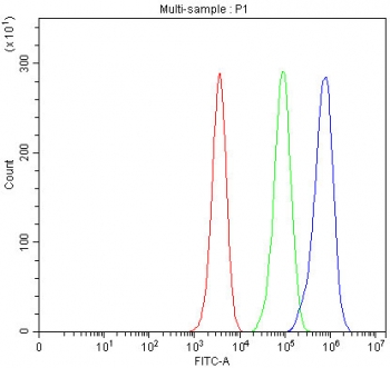 Flow cytometry testing of fixed and permeabilized human JK cells with MELK antibody at 1ug/million cells (blocked with goat sera); Red=cells alone, Green=isotype control, Blue= MELK antibody.