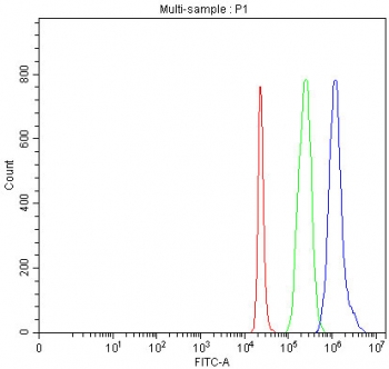 Flow cytometry testing of fixed and permeabilized human 293T cells with MTF1 antibody at 1ug/million cells (blocked with goat sera); Red=cells alone, Green=isotype control, Blue= MTF1 antibody.