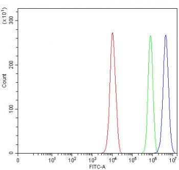 Flow cytometry testing of fixed and permeabilized human PC-3 cells with LRRC75B antibody at 1ug/million cells (blocked with goat sera); Red=cells alone, Green=isotype control, Blue= LRRC75B antibody.