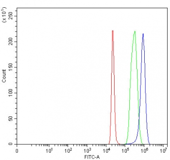 Flow cytometry testing of fixed and permeabilized human 293T cells with LRRC73 antibody at 1ug/million cells (blocked with goat sera); Red=cells alone, Green=isotype control, Blue= LRRC73 antibody.