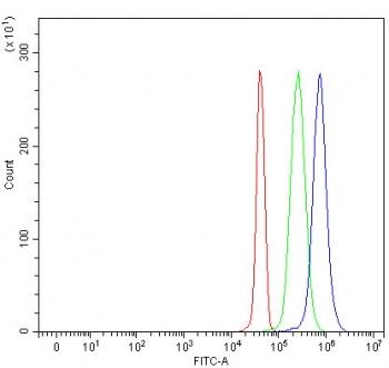 Flow cytometry testing of fixed and permeabilized human JK cells with SLC38A9 antibody at 1ug/million cells (blocked with goat sera); Red=cells alone, Green=isotype control, Blue= SLC38A9 antibody.
