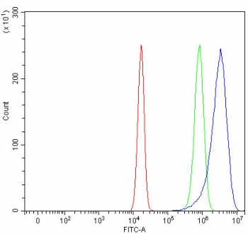 LRRN4 Antibody FACS. Flow cytometry testing of fixed and permeabilized human U-2 OS cells with LRRN4 Antibody / Cancer-Associated LRR Protein Antibody at 1ug/million cells demonstrates a distinct positive fluorescence shift (blue) relative to the isotype control (green) and unstained cells (red), supporting intracellular expression of Leucine rich repeat neuronal protein 4 / LRRN4 in tumor-derived cells. Cells were blocked with goat sera prior to staining.