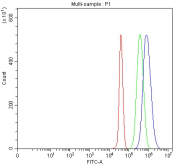 Flow cytometry testing of fixed and permeabilized human JK cells with ING5 antibody at 1ug/million cells (blocked with goat sera); Red=cells alone, Green=isotype control, Blue= ING5 antibody.