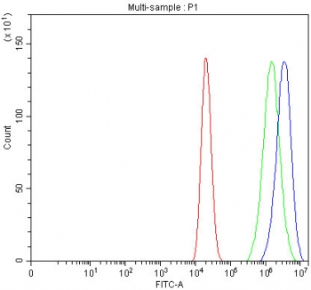 Flow cytometry testing of fixed and permeabilized human Caco-2 cells with PAWR antibody at 1ug/million cells (blocked with goat sera); Red=cells alone, Green=isotype control, Blue= PAWR antibody.
