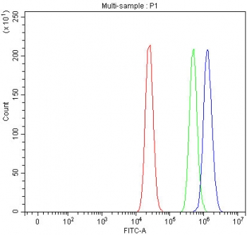Flow cytometry testing of fixed and permeabilized human MCF7 cells with RAB3IP antibody at 1ug/million cells (blocked with goat sera); Red=cells alone, Green=isotype control, Blue= RAB3IP antibody.