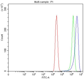 Flow cytometry testing of fixed human MCF7 cells with MCCC1 antibody at 1ug/million cells (blocked with goat sera); Red=cells alone, Green=isotype control, Blue= MCCC1 antibody.