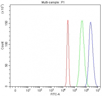 Flow cytometry testing of fixed and permeabilized human HepG2 cells with ILKAP antibody at 1ug/million cells (blocked with goat sera); Red=cells alone, Green=isotype control, Blue= ILKAP antibody.