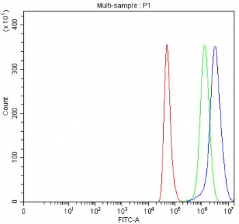 Flow cytometry testing of fixed and permeabilized human HeLa cells with PATZ1 antibody at 1ug/million cells (blocked with goat sera); Red=cells alone, Green=isotype control, Blue= PATZ1 antibody.