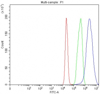 Flow cytometry testing of fixed and permeabilized human MCF7 cells with MCCC2 antibody at 1ug/million cells (blocked with goat sera); Red=cells alone, Green=isotype control, Blue= MCCC2 antibody.