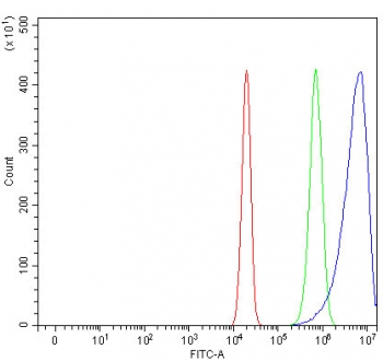Flow cytometry testing of fixed and permeabilized human U-2 OS cells with Ribosome binding protein 1 antibody at 1ug/million cells (blocked with goat sera); Red=cells alone, Green=isotype control, Blue= Ribosome binding protein 1 antibody.