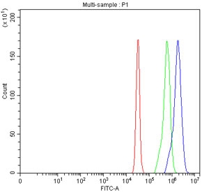 Flow cytometry testing of fixed and permeabilized human SiHa cells with Hydroxyacid oxidase 1 antibody at 1ug/million cells (blocked with goat sera); Red=cells alone, Green=isotype control, Blue= Hydroxyacid oxidase 1 antibody.