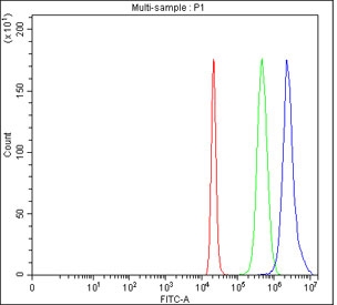 Flow cytometry testing of fixed and permeabilized human 293T cells with PHF11 antibody at 1ug/million cells (blocked with goat sera); Red=cells alone, Green=isotype control, Blue= PHF11 antibody.