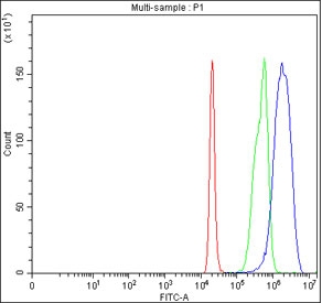 Flow cytometry testing of fixed and permeabilized human 293T cells with PCDHGC4 antibody at 1ug/million cells (blocked with goat sera); Red=cells alone, Green=isotype control, Blue= PCDHGC4 antibody.