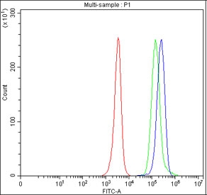 Flow cytometry testing of fixed and permeabilized human JK cells with HAGH antibody at 1ug/million cells (blocked with goat sera); Red=cells alone, Green=isotype control, Blue= HAGH antibody.