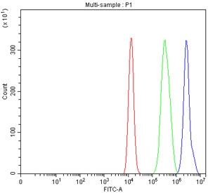 Flow cytometry testing of fixed and permeabilized human HEL cells with OMI antibody at 1ug/million cells (blocked with goat sera); Red=cells alone, Green=isotype control, Blue= OMI antibody.
