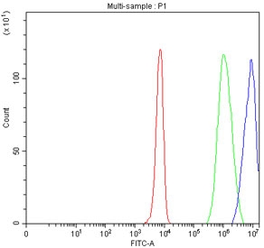 Flow cytometry testing of fixed and permeabilized human K562 cells with ARID domain-containing protein 1A antibody at 1ug/million cells (blocked with goat sera); Red=cells alone, Green=isotype control, Blue= ARID domain-containing protein 1A antibody.