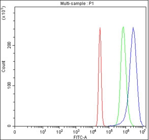 Flow cytometry testing of fixed and permeabilized human HepG2 cells with HADH antibody at 1ug/million cells (blocked with goat sera); Red=cells alone, Green=isotype control, Blue= HADH antibody.