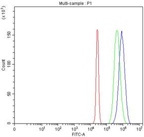 Flow cytometry testing of fixed and permeabilized human HepG2 cells with PCMT1 antibody at 1ug/million cells (blocked with goat sera); Red=cells alone, Green=isotype control, Blue= PCMT1 antibody.